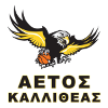 AO Aetos Kalitheas Women logo