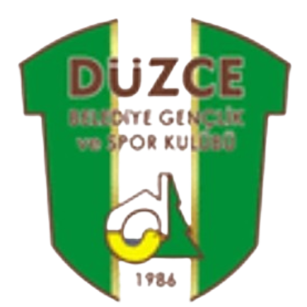 Dizjie Sports logo