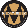 NS Matrix logo
