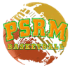 Pisaurum Pesaro logo