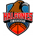 Halcones De Sonzacate logo