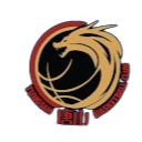 this.home_team_name