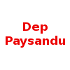 Deportivo Paysandu Women logo