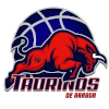Toros de Aragua logo