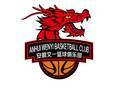 Anhui Wenyi U19 logo