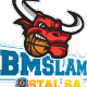 BM Slam Stal logo