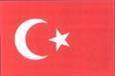 Turkish Stars logo