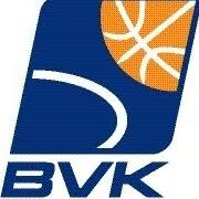 BVK Holice logo