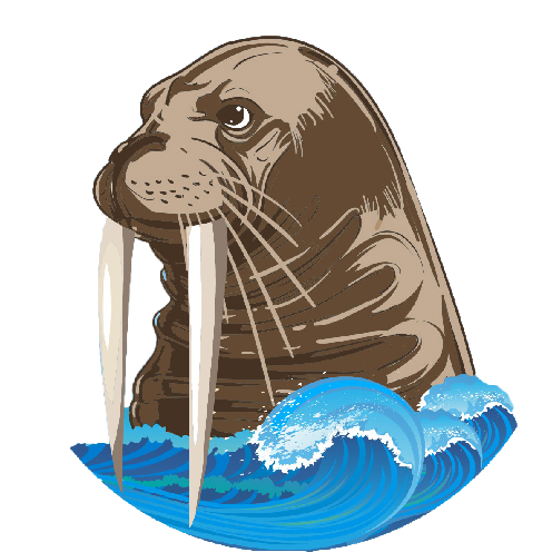 Hainan Jinxing U21 logo