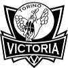 Victoria Torino U20 logo