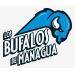 Bufalos logo