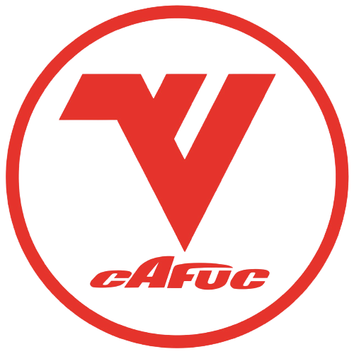 China Civil Aviation Institute logo