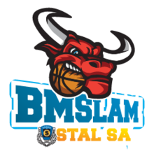 Stal Ostrow Wielkopolski logo