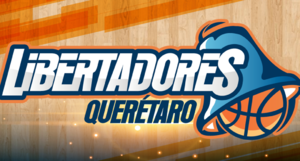 Libertadores logo