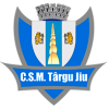 ACS Targu Jiu logo