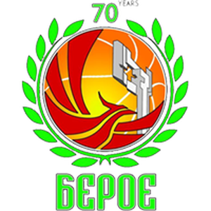 Beroe logo