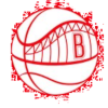 Bridge logo