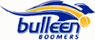 Bulleen Boomers Women logo
