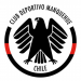 CD Manquehue U19 logo