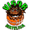 Vigor Matelica logo