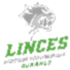 Linces de Santiago Papasquiaro logo