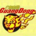 Guangdong Southern Tigers U21 logo