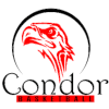Condor Yaounde logo