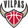 Salon Vilpas logo