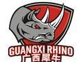 Guangxi Weizhuang U19 logo