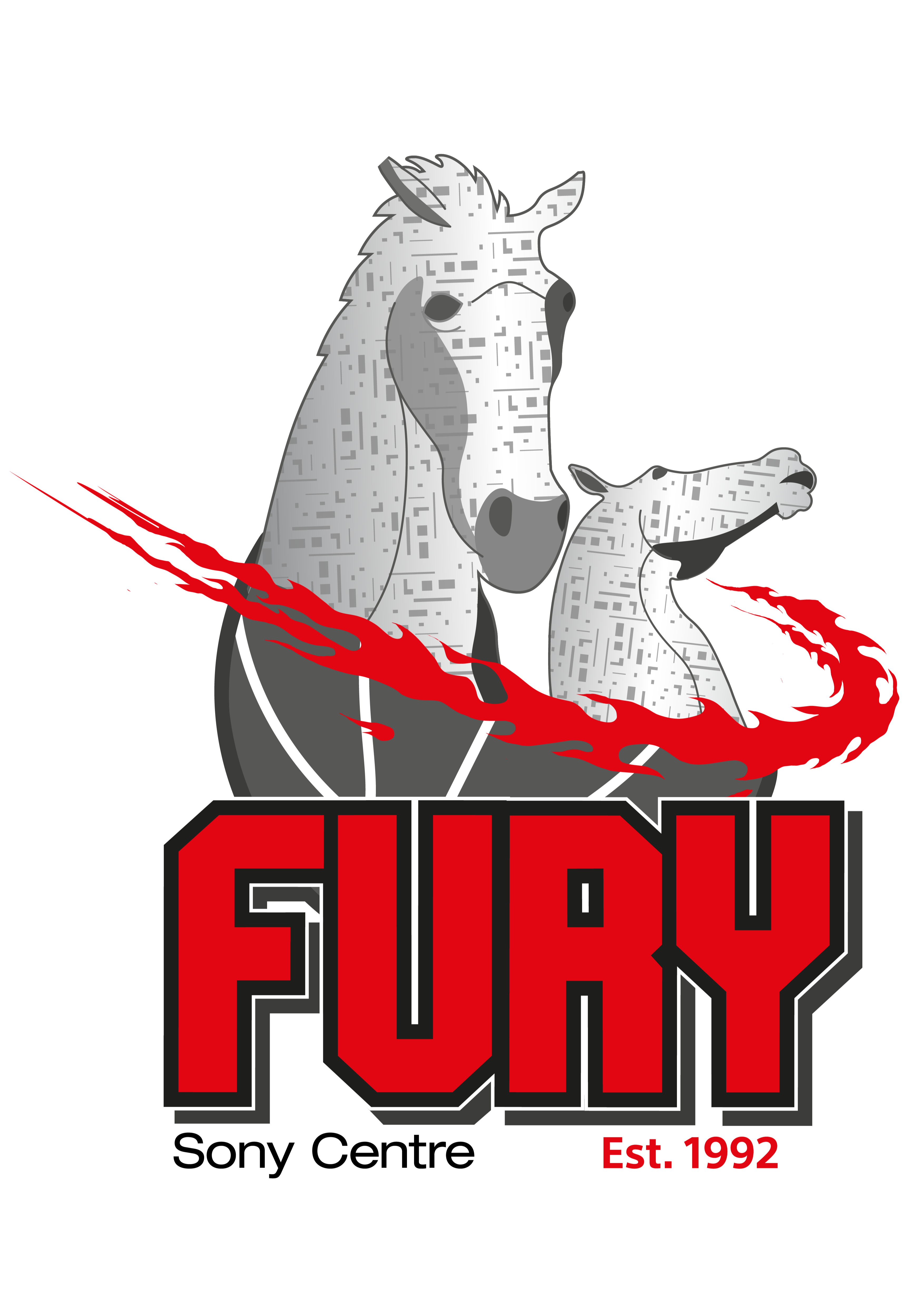 Falkirk Fury