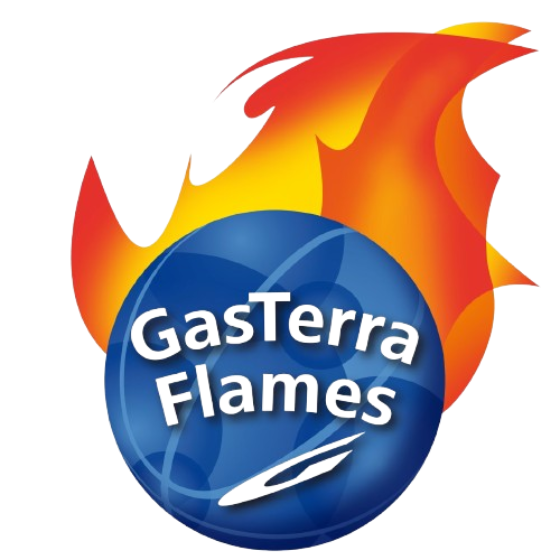 GasTerra Flames Groningen logo