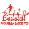 Accademia Basket Vco U20 logo