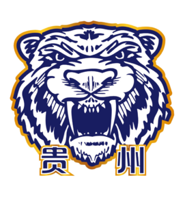 Guizhou Senhang U21 logo