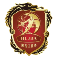 Heilongjiang U19 logo