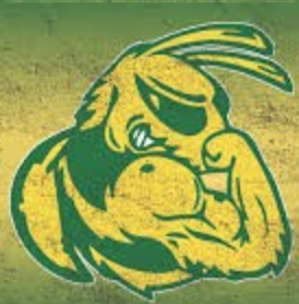 Concordia-Selma logo