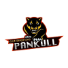 CD Pankull Valdivia U22 logo
