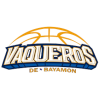 Bayamon logo