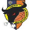 AngraBasket logo
