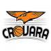 Crovara logo