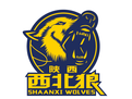 Shaanxi Xinda U21 logo