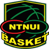 NTNUI Nerds logo