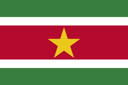 Suriname logo