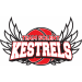 Solent Kestrels logo