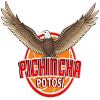 Pichincha Potosi logo