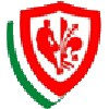 Pino Dragons BK Firenze logo