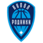 Dome Springs Izhevsk logo