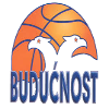 Buducnost Women logo