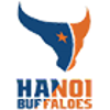Ha Noi U19 Women logo