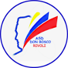 Don Bosco Rivoli U20 logo