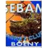 SEBAM logo